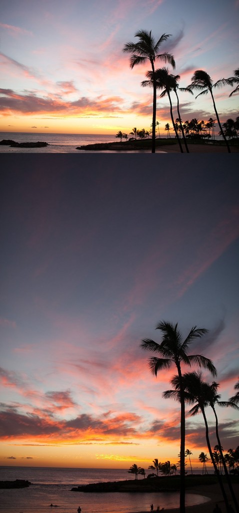 sammorgan_0014