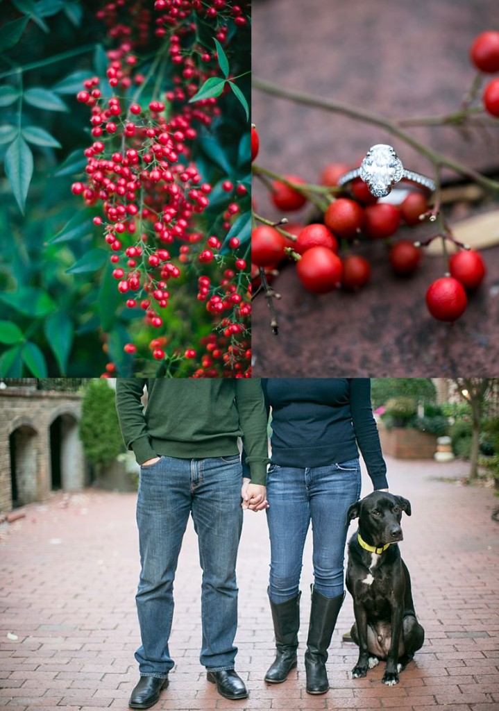 yuri-joe-old-town-alexandria-engagement16