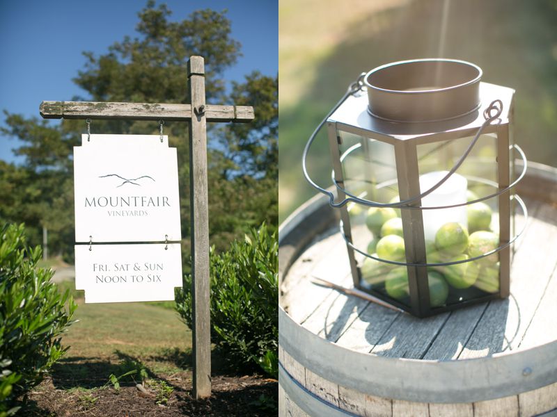 mountfairvineyard_0034